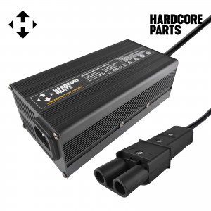 48V Golf Cart Battery Charger - Fits Yamaha G19 G22 2 Pin Connector, 48 Volt 6 Amp Trickle Charge